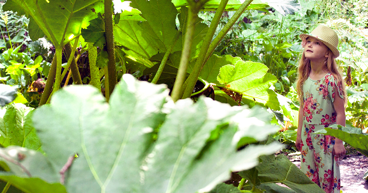 little girl at Durham University Botanic Garden surrounded by large green plants